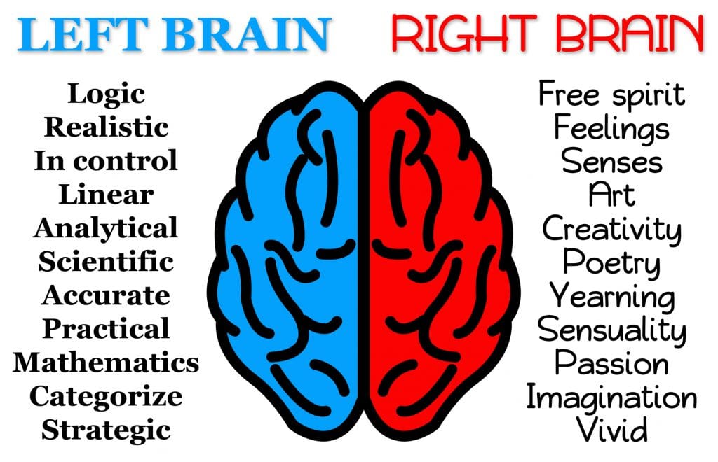 Right Brain Vs Left Brain The Right Brain Vs The Left Brain Diffrence